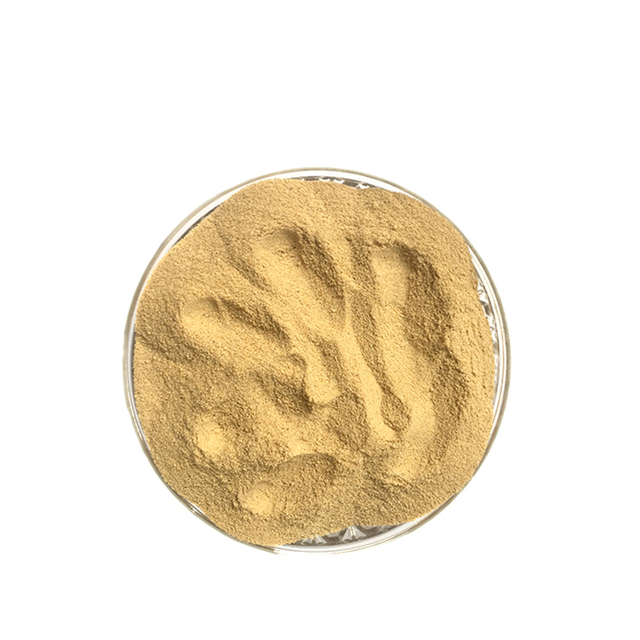FEED YEAST POWDER 60%