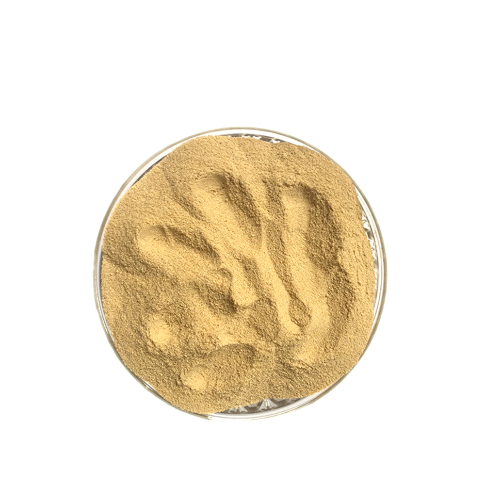 FEED YEAST POWDER 60%