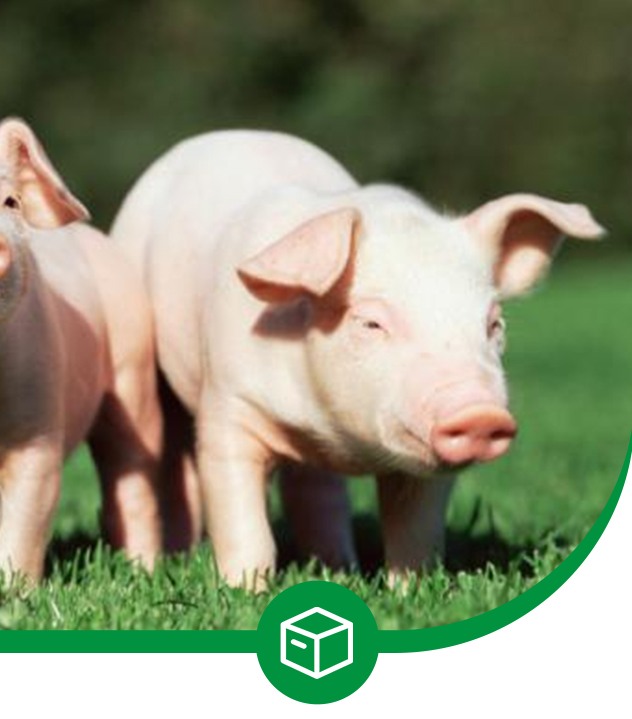 Hebei Youngdo Import&Export Co.,Ltd.