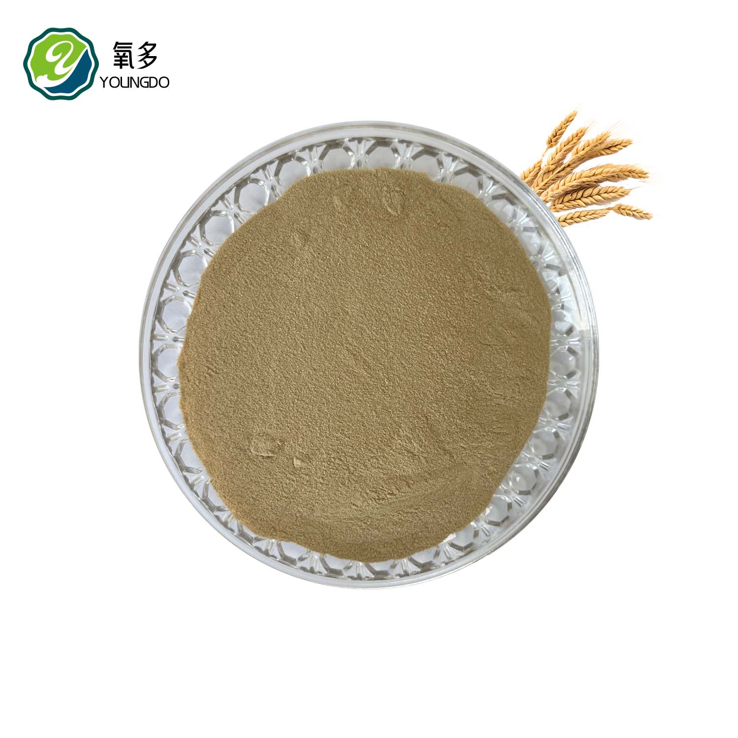 Beer Yeast Powder