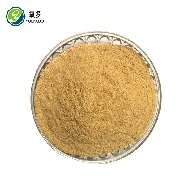Feed Yeast Powder