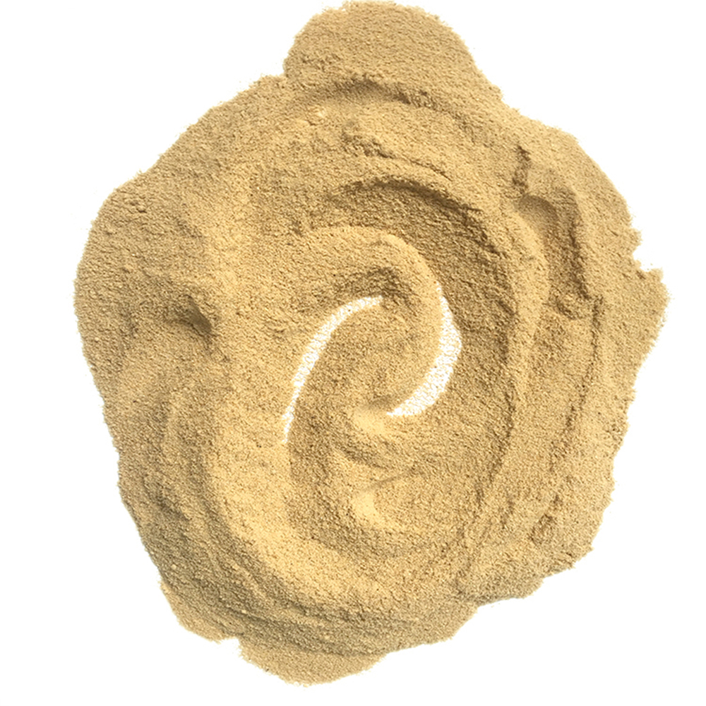 FEED YEAST POWDER 60%