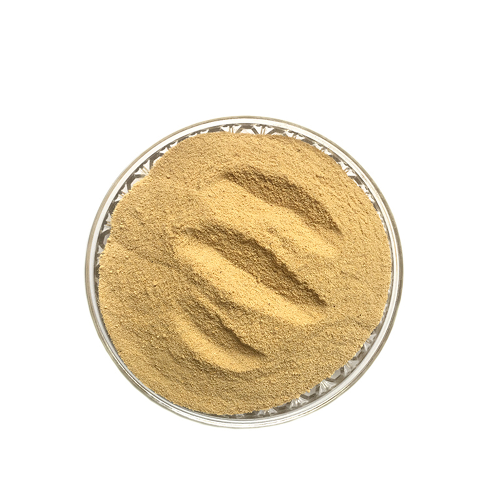 FEED YEAST POWDER 60%