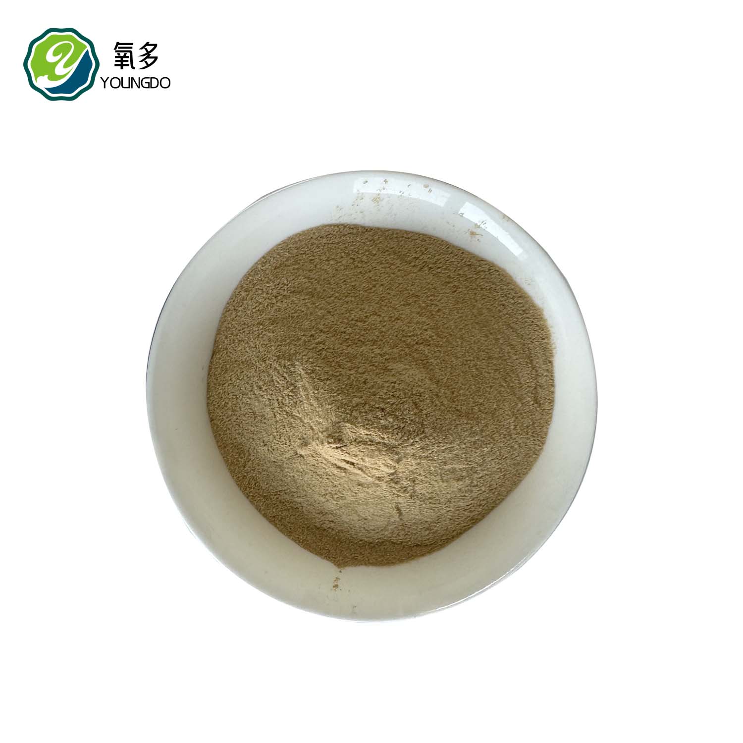 Beer Yeast Powder