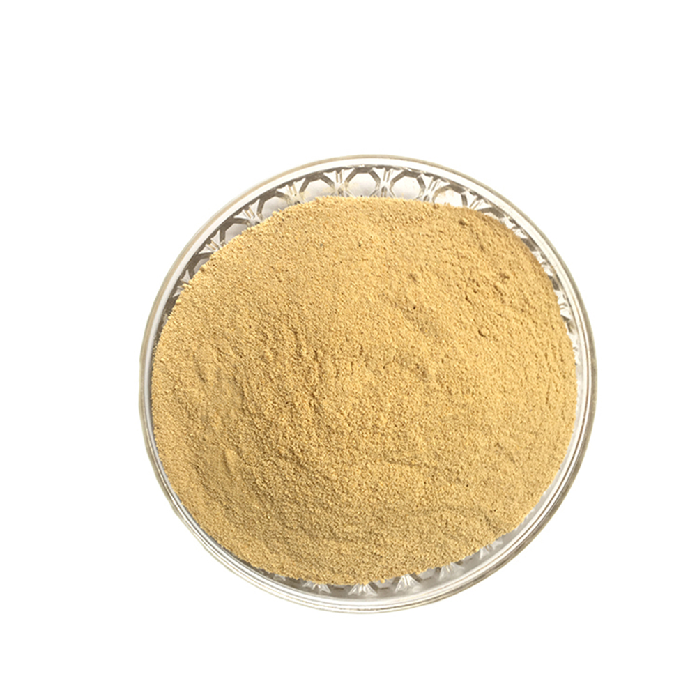 Feed Yeast Powder
