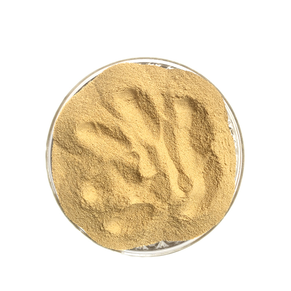FEED YEAST POWDER 60%