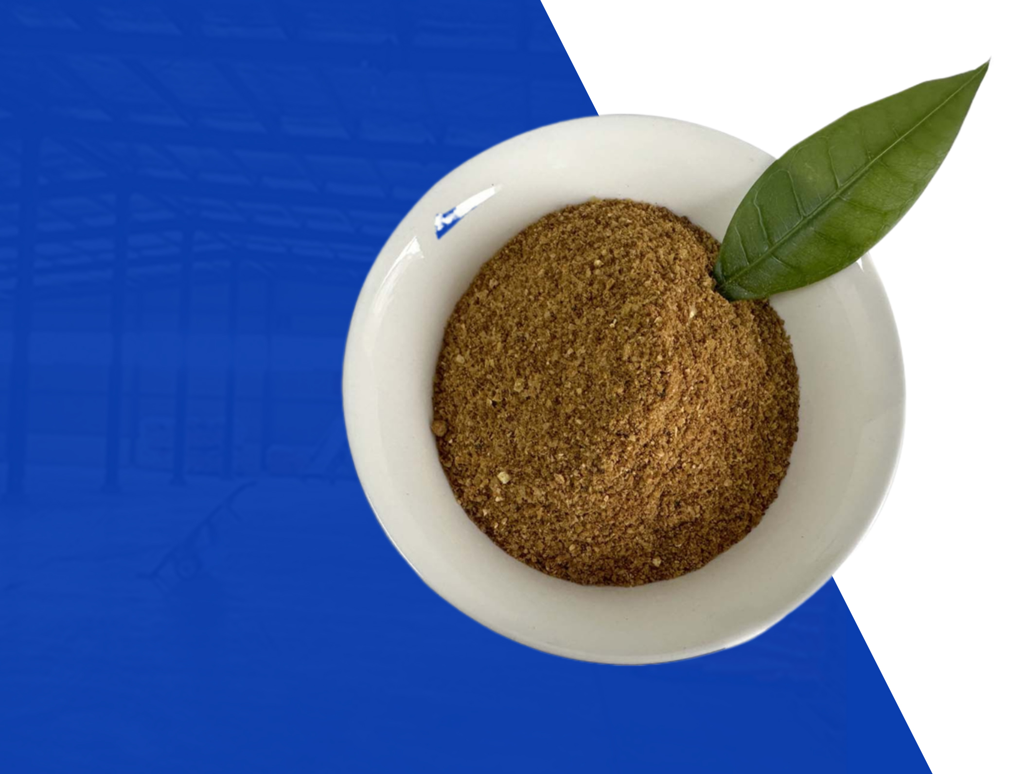 Hebei Youngdo Import&Export Co.,Ltd.