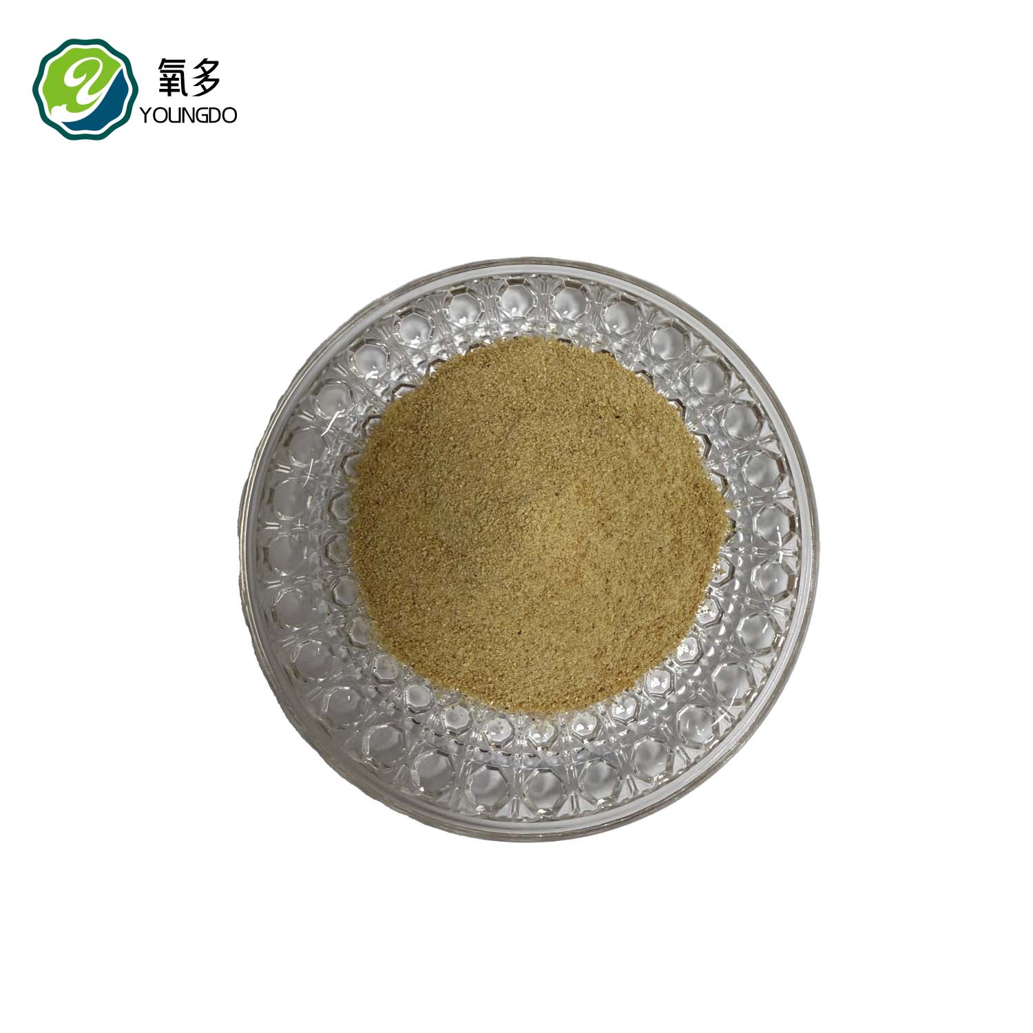 Fermented Soybean Meal