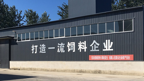 Focus on the development of high-quality feed additives