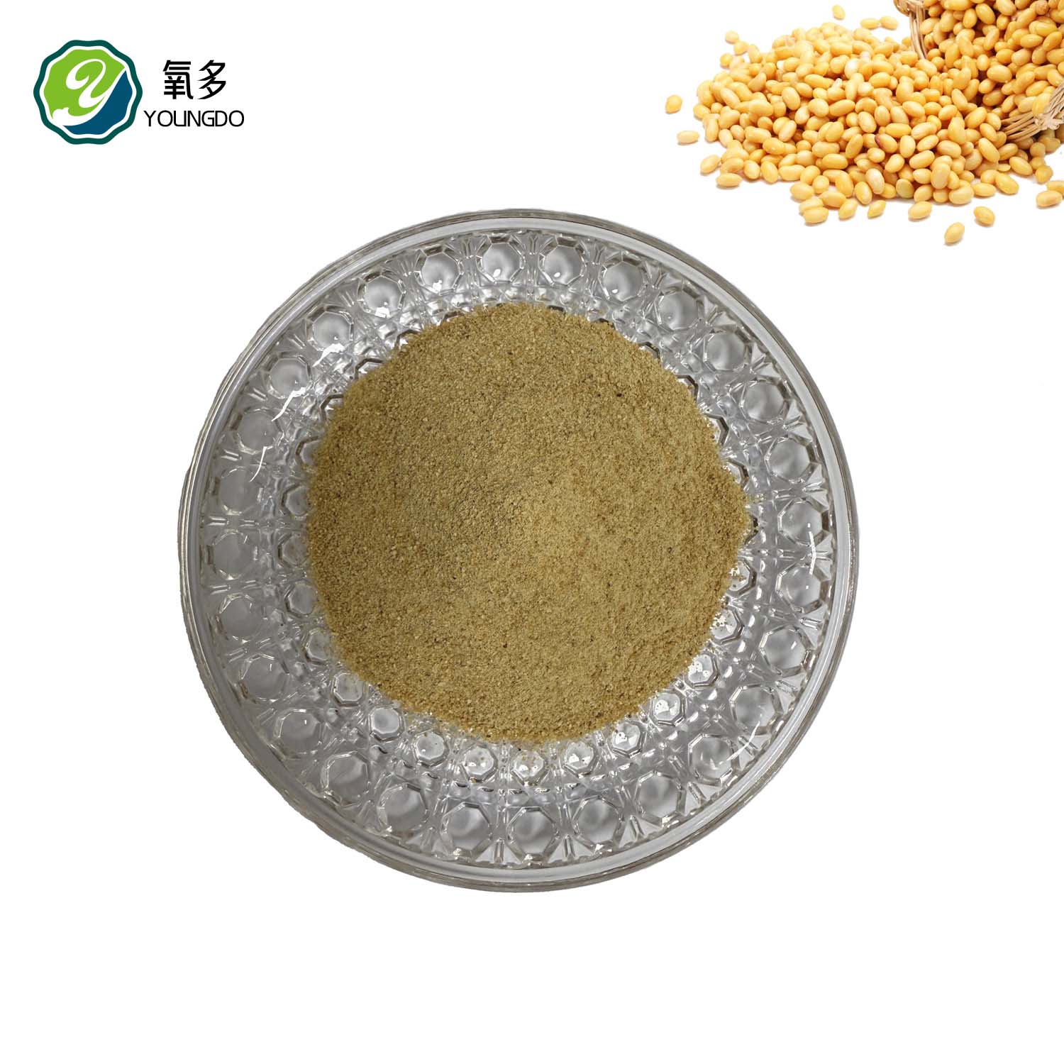 Fermented Soybean Meal