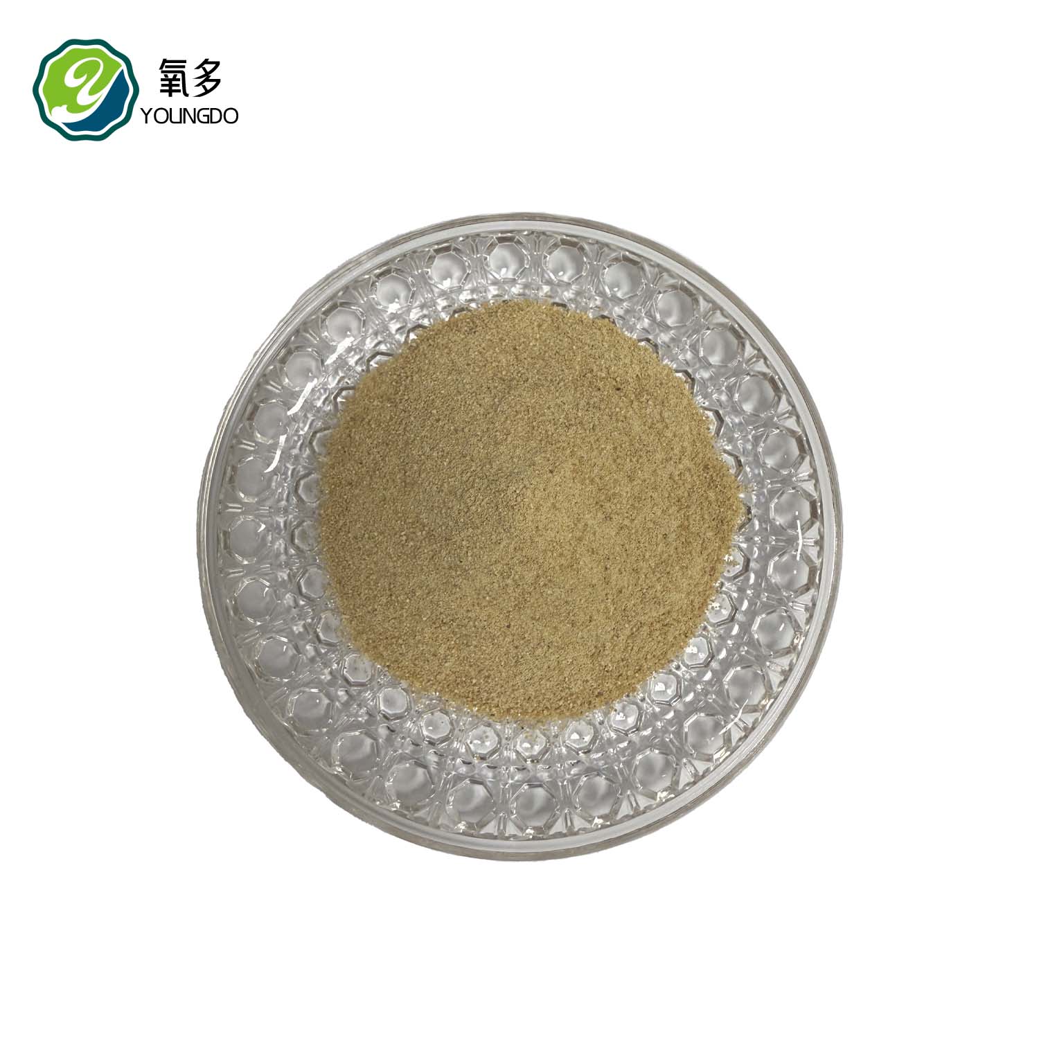 Fermented Soybean Meal