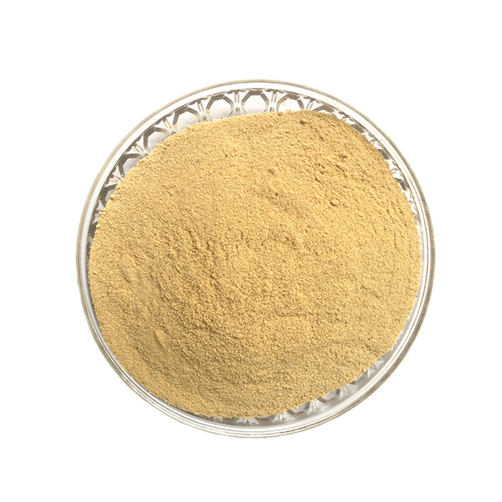 Feed Yeast Powder